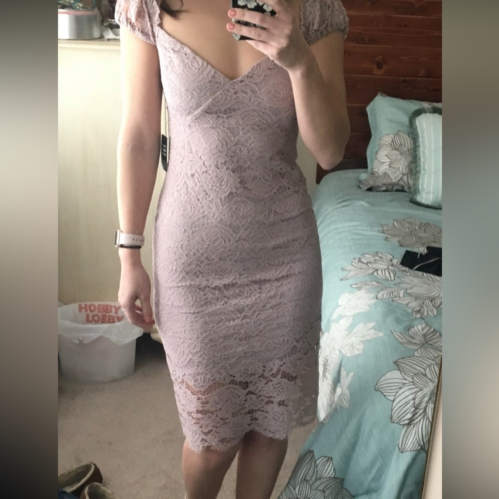 Express Lace Dress in Light Pink